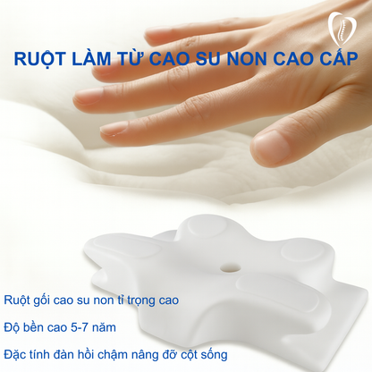 Gối công thái học TheraEase