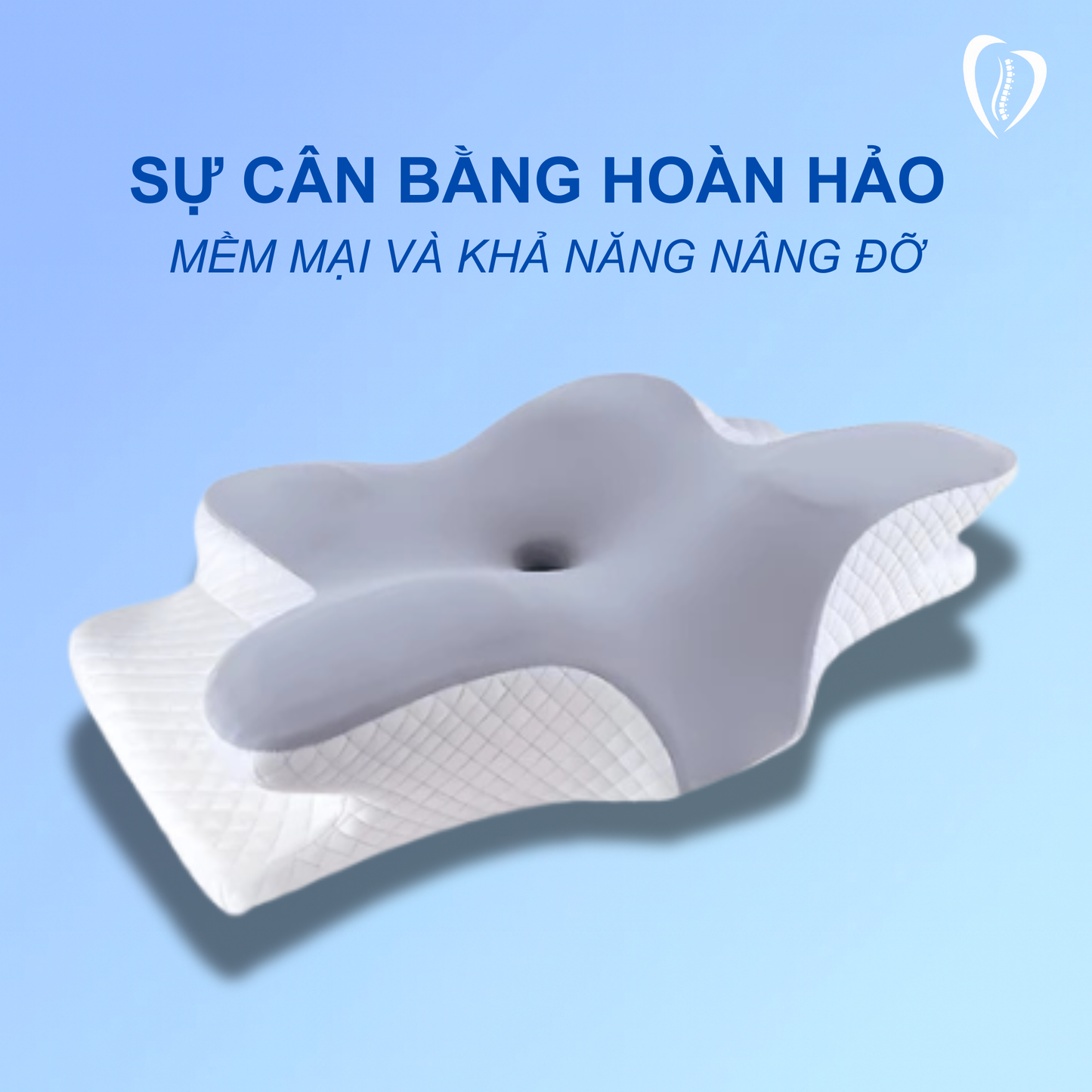 Gối công thái học TheraEase