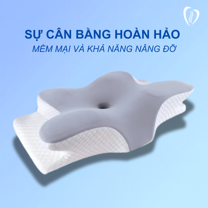 Gối công thái học TheraEase