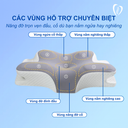 Gối công thái học TheraEase