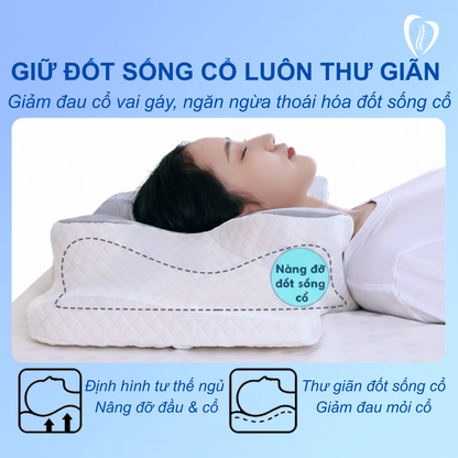 Gối công thái học TheraEase