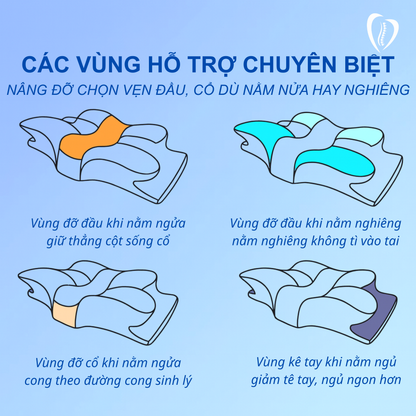 Gối công thái học TheraEase